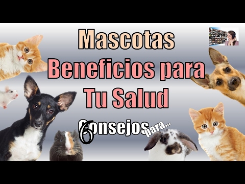 MASCOTAS  BENEFICIOS PARA TU SALUD  6 CONSEJOS  TIPS, RECOMENDACIONES O PASOS